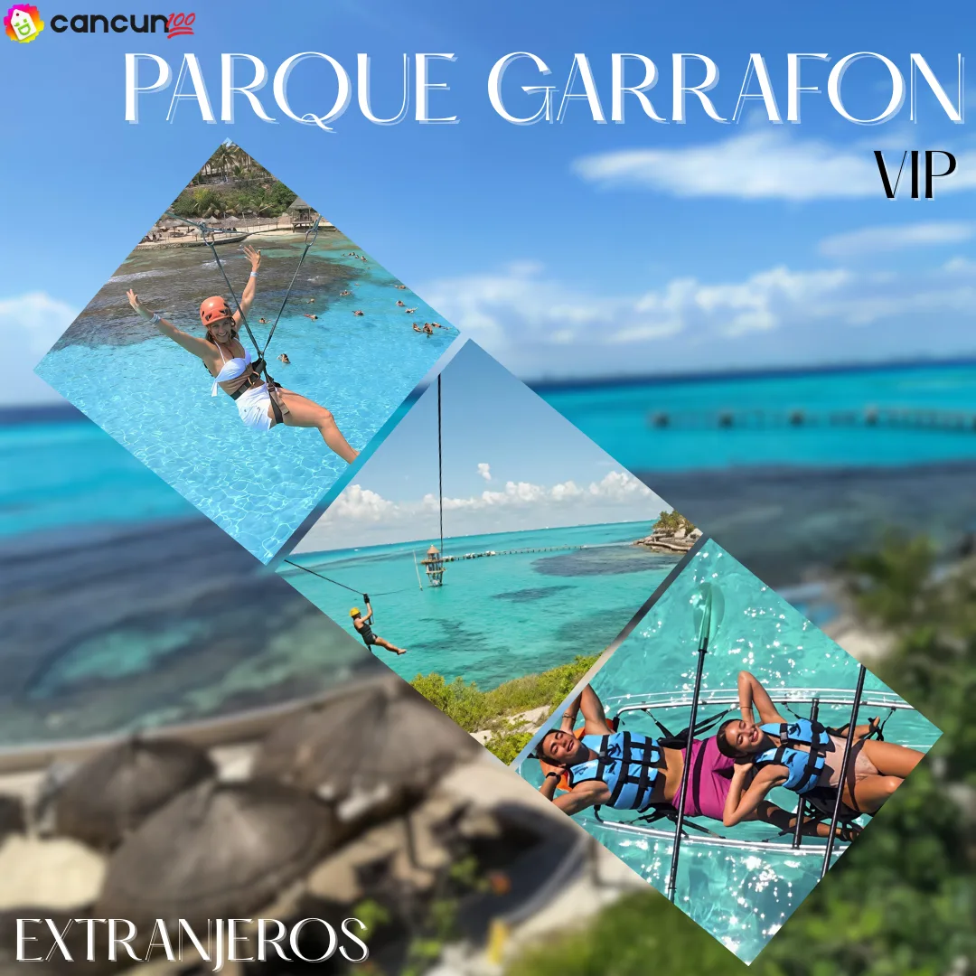 1 Parque Garrafón VIP - Dolphin Discovery Extranjeros - Imagen 1