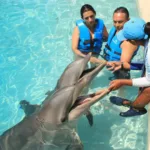 PRIMAX 6 + Parque Xcaret PLUS - Nado con Delfin AVANZADO - Imagen 2