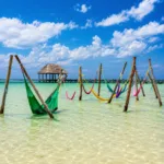 Tour Holbox Live Caribe Terças e Sábados | Cancun 100 - Imagem 3