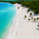 Tour Holbox Plus + Cenote Yalahau Día Completo | Cancun 100 - Imagen 3