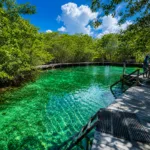 Tour Holbox Plus + Cenote Yalahau Día Completo | Cancun 100 - Imagen 4