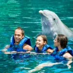 Dolphin Ride Nado con Delfines + Parque Xelha (INTERMEDIO) - Imagen 3