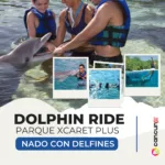 Dolphin Ride + Parque Xcaret PLUS - Nado con Delfin INTERMEDIO