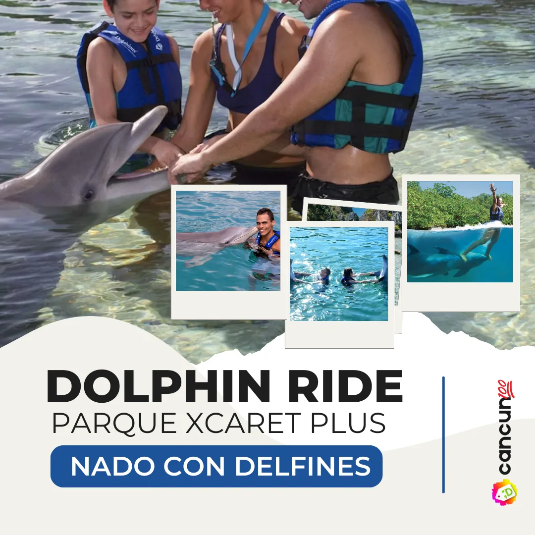 14 Dolphin Ride + Parque Xcaret PLUS - Nado con Delfin INTERMEDIO - Imagen 1
