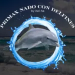 PRIMAX nado con delfines avanzado + Parque Xel-Há todo incluido