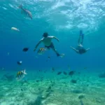 Cielo Cozumel en Catamarán Económico -MEXICANOS 🇲🇽 - Imagen 2