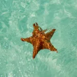 Cielo Cozumel en Catamarán Económico -MEXICANOS 🇲🇽 - Imagen 3