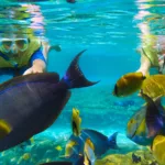 Cielo Cozumel en Catamarán Económico -MEXICANOS 🇲🇽 - Imagen 4