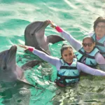 PRIMAX nado con delfines avanzado + Parque Xel-Há todo incluido - Imagen 4