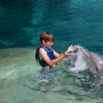 Dolphin Ride + Parque Xcaret PLUS - Nado con Delfin INTERMEDIO - Imagen 3