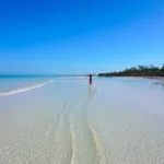 Holbox ECONOMICO - Transporte y Ferry - Imagen 3