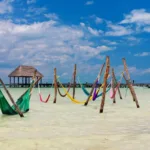 Holbox ECONOMICO - Transporte y Ferry - Imagen 4