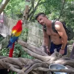 Xcaret Plus TOUR con Transporte 🇲🇽 Mexicanos - Imagen 9