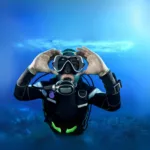 Cozumel Buceo Principiantes y Certificados - Imagen 7