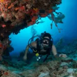 Cozumel Buceo Principiantes y Certificados - Imagen 6