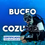 Cozumel Buceo Principiantes y Certificados