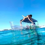 Cozumel ClearBoat Lancha de Cristal - Todo Incluido Mexicanos 🇲🇽 - Imagen 5