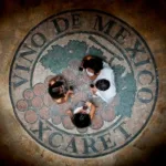 Xcaret Plus TOUR con Transporte - TODO INCLUIDO - Imagen 2