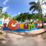 Cozumel ClearBoat Lancha de Cristal - Todo Incluido Mexicanos 🇲🇽 - Imagen 2