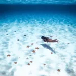 Cielo Cozumel en Lancha - Imagen 5