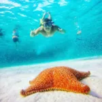 Cielo Cozumel en Lancha - Imagen 4