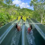 Xenses TOUR con Transporte 🇲🇽 Mexicanos - Imagen 6