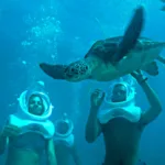 Xcaret Basico TOUR con Transporte 🇲🇽 Mexicanos - Imagen 3