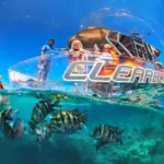 Cozumel ClearBoat Lancha de Cristal - Todo Incluido Mexicanos 🇲🇽 - Imagen 7