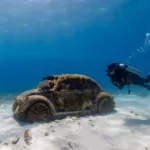 Tour a ISLA MUJERES en Catamaran TODO Incluido 🔥 + CLUB DOLPHIN DISCOVERY - Imagen 13