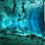 TULUM + Cenote DOS OJOS + Gran Cenote y Madre Naturaleza un DIA - Imagen 5