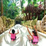 Xcaret PLUS 🔥 con Transporte - Promoción MEXICANOS 🇲🇽 - Imagen 15