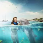 Nado con Delfines 🔥 ISLA MUJERES Infantes Gratis - Imagen 7