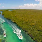 Jungle Tour Cancun Speed Boats - Conduce Tu Lancha Rapida con Snorkel - Imagen 4