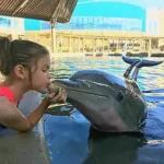 Encuentro con Delfines 🐬 en ISLA MUJERES Tour Familiar - Imagen 4