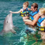 Encuentro con Delfines 🐬 en ISLA MUJERES Tour Familiar - Imagen 3