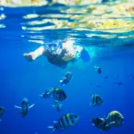 Isla CONTOY Todo INCLUIDO + Isla Mujeres TOUR de Dia - Imagen 8