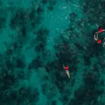 Isla CONTOY Todo INCLUIDO + Isla Mujeres TOUR de Dia - Imagen 7