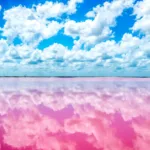 Las COLORADAS y Rio Lagartos Tour de Dia - Imagen 3