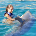 Parque Garrafón Encuentro Extranjero con delfín - Imagen 2