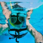 CANCUN A TU MEDIDA - Imagen 3