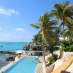 Parque Garrafón Encuentro Extranjero con delfín - Imagen 4