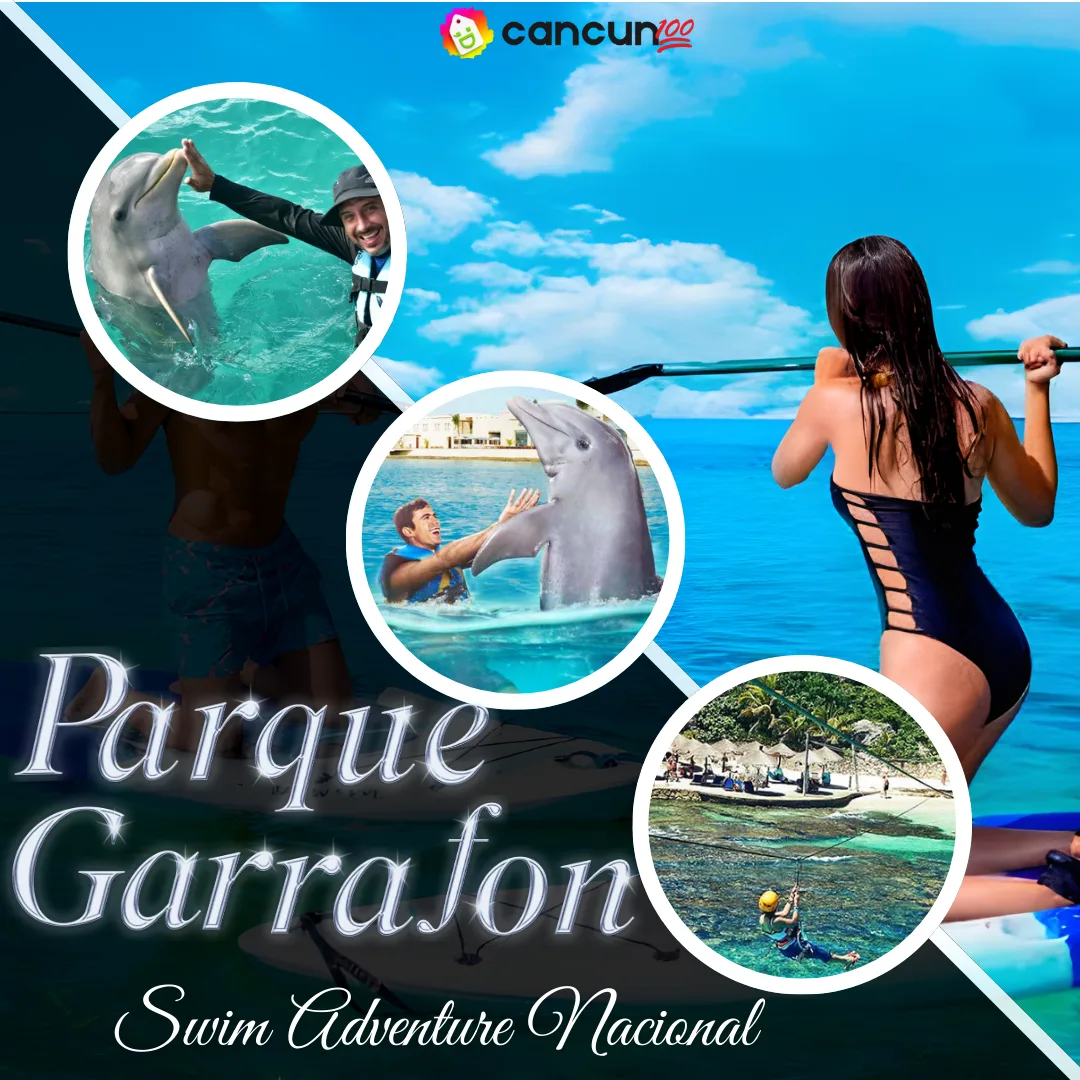 32 Garrafón Swim Adventure Nacional con delfines en Isla Mujeres - Imagen 1