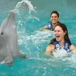 Garrafón Swim Adventure Extranjero con delfines en Isla Mujeres - Imagen 2