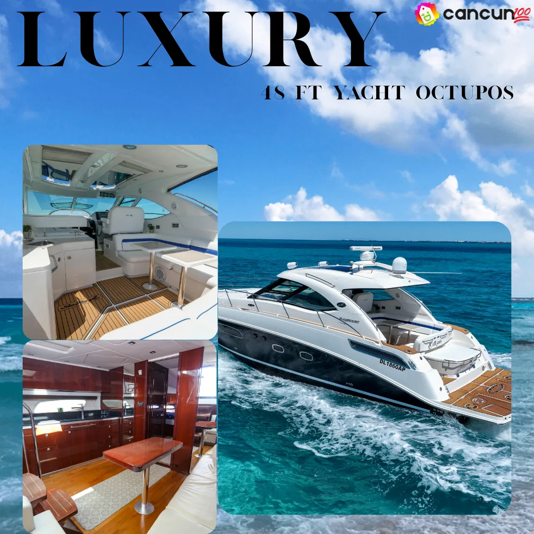35 LUXURY 48FT YACHT RENTAL OCTOPUS - Imagen 1