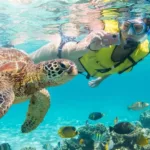 Tulum + AKUMAL Nado con TORTUGAS Tour de DIA - Imagen 4