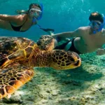 Tulum + AKUMAL Nado con TORTUGAS Tour de DIA - Imagen 3