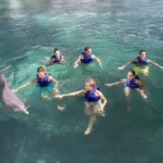 INTERAX Nado con Delfines + Parque Xelha (basico) - Imagen 3