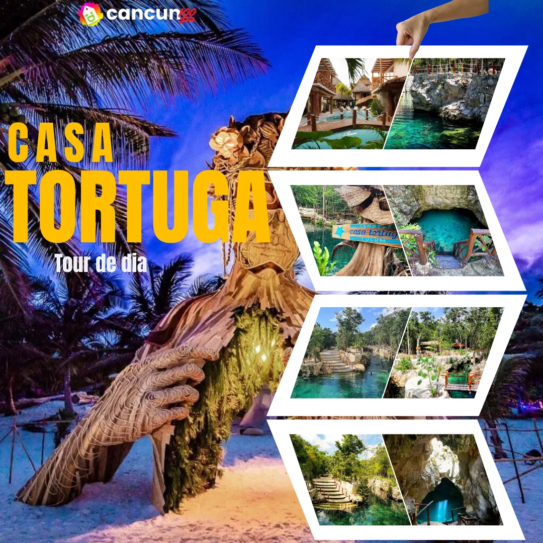 52 Casa TORTUGA 🐢 TOUR de Dia - Imagen 1