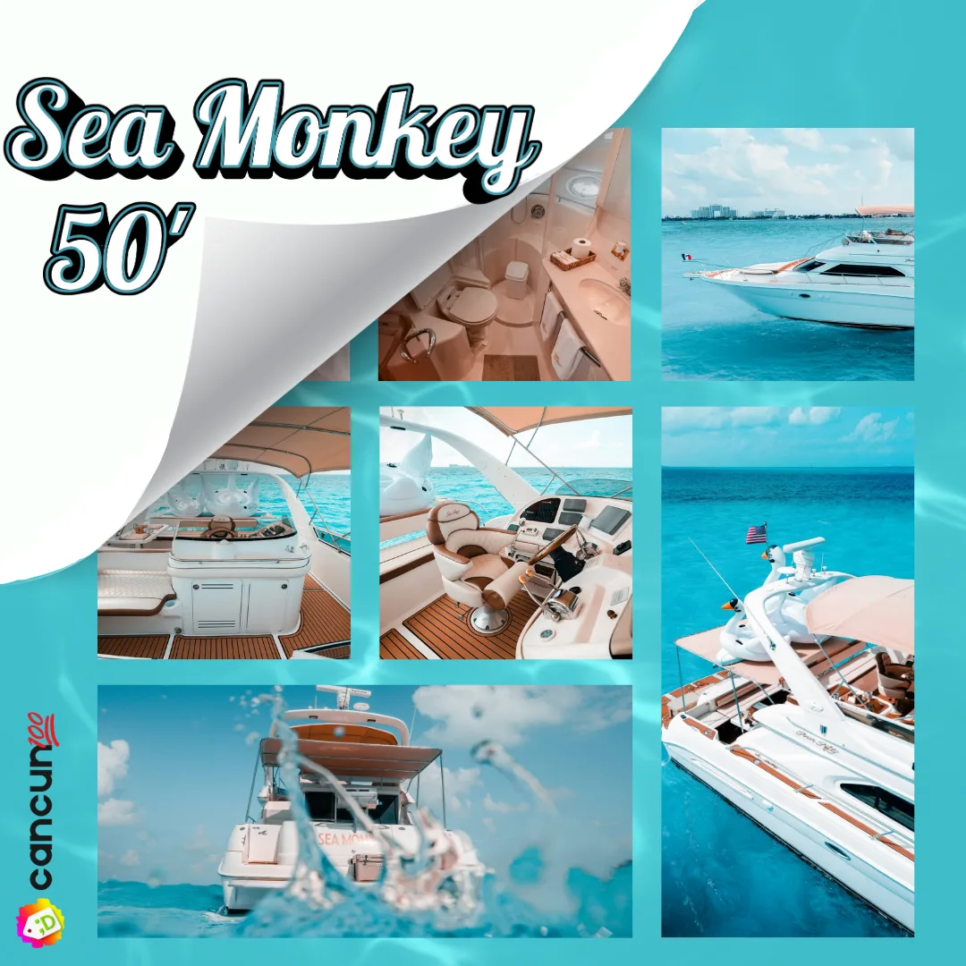 53 LUXURY 50FT YACHT RENTAL SEA MONKEY - Imagen 1