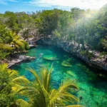 Casa TORTUGA 🐢 TOUR de Dia - Imagen 3